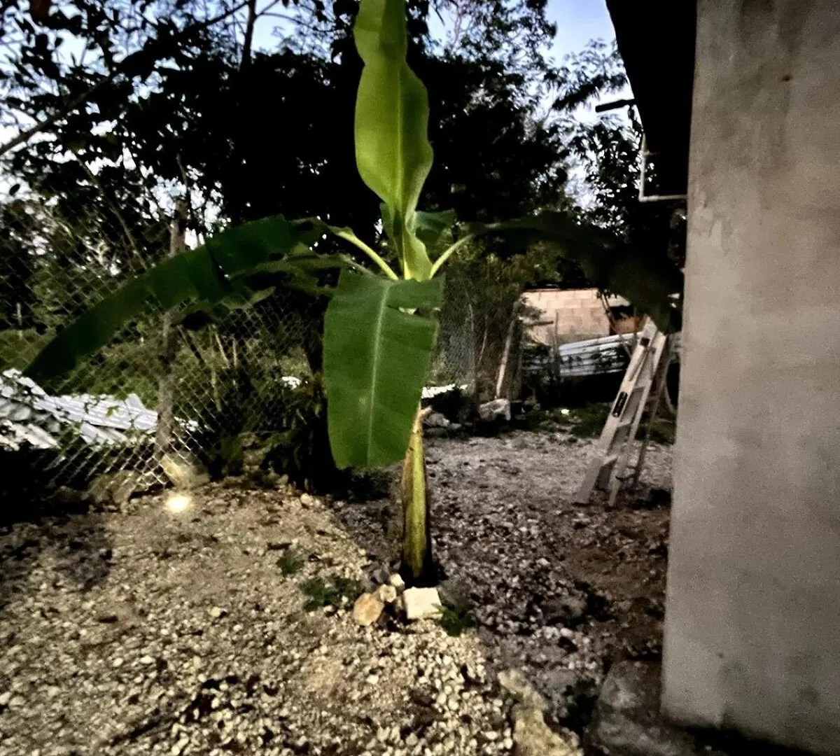 Linda Casa Privada En La Naturaleza De Tulum! Prázdninový dům